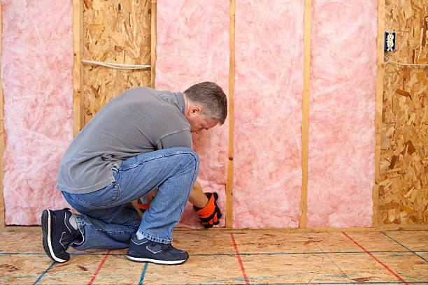 Best Commercial Insulation in Erwin, NC