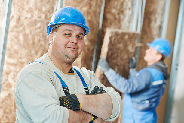 Best Residential Insulation in Erwin, NC